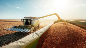 Россия не будет отменять экспортные пошлины на зерно – Патрушев 
